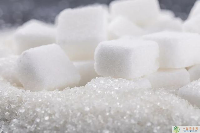 糖、添加糖、游离糖一样吗？关于糖的8个营养秘密