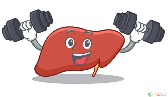 修复肝脏哪个产品好？胶原蛋白肽哪个好？什么叫胶原蛋白肽?